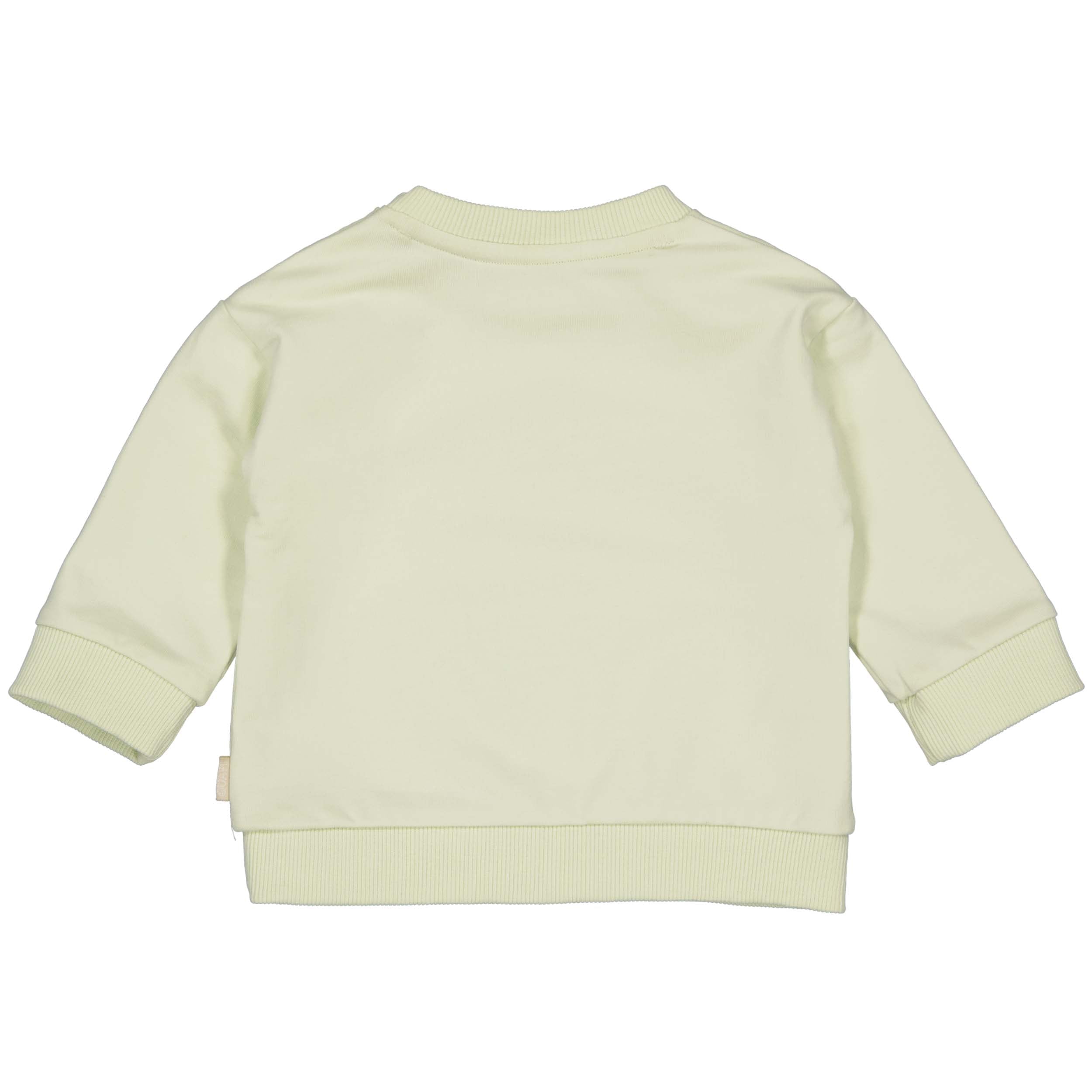Sweater | Soft Green