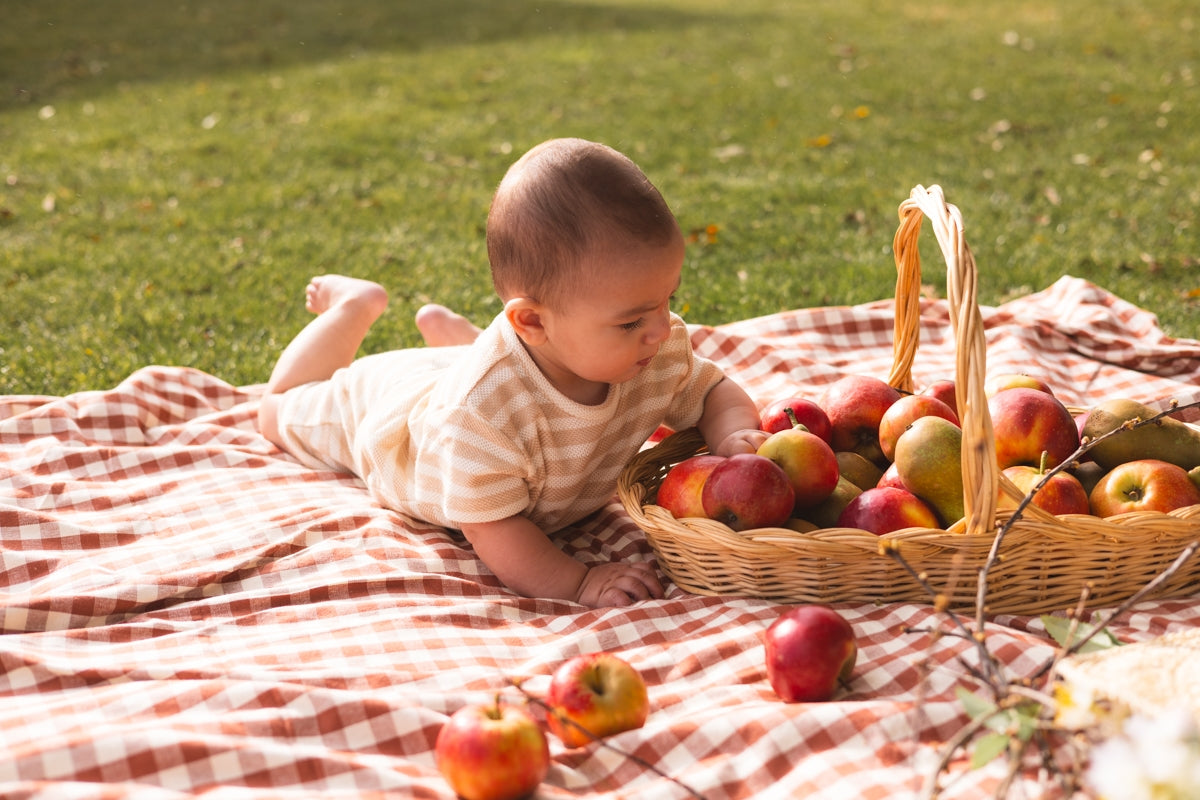 Shirt Beige gestreept | AOP Sand Stripe