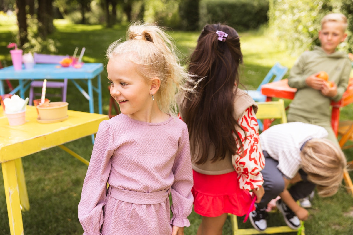 Jurk Paars | Purple Dust