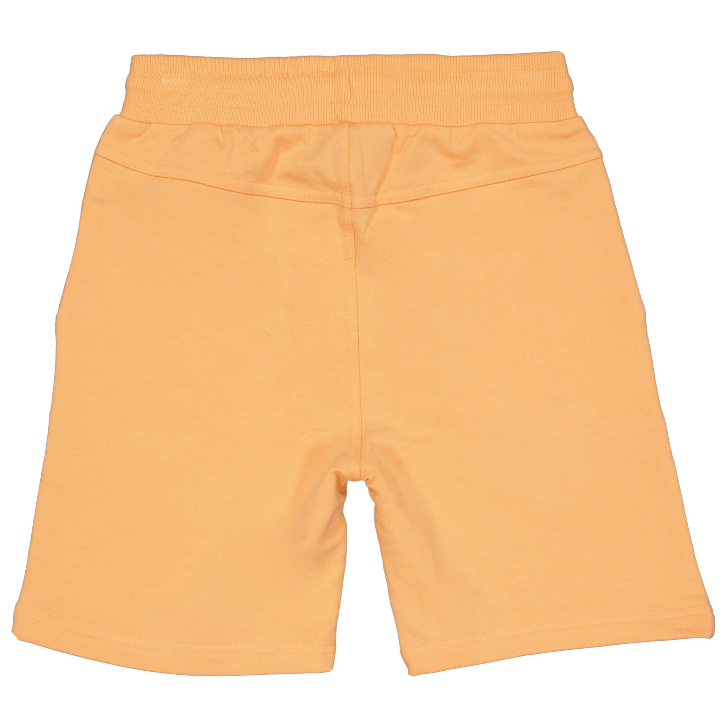 Broek Oranje en Blauw | Salmon