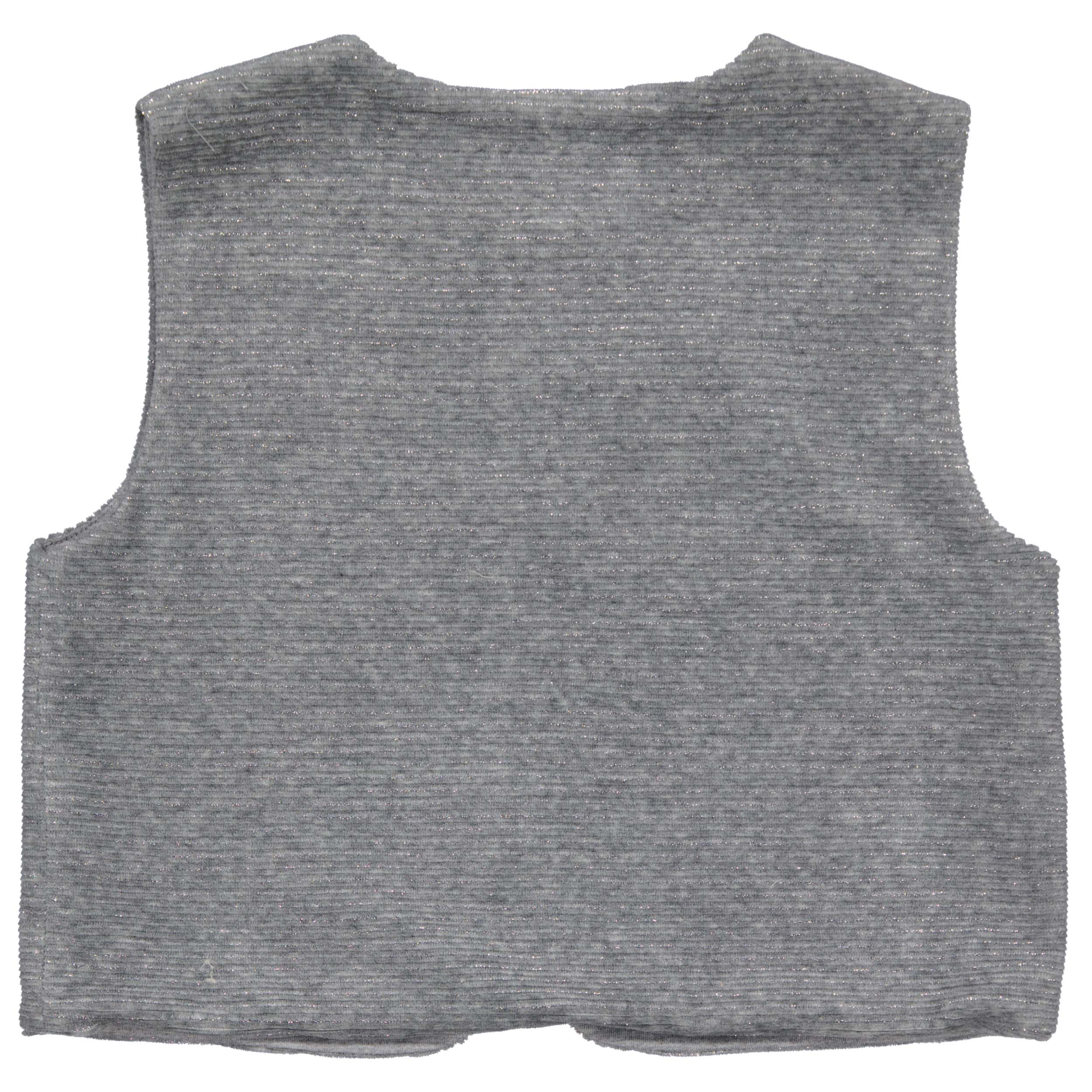 Zilverkleurig gilet | Silver