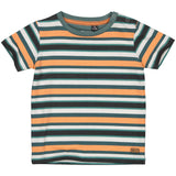 SHORTSLEEV | AOP Multi Stripe