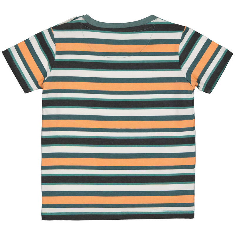 SHORTSLEEV | AOP Multi Stripe