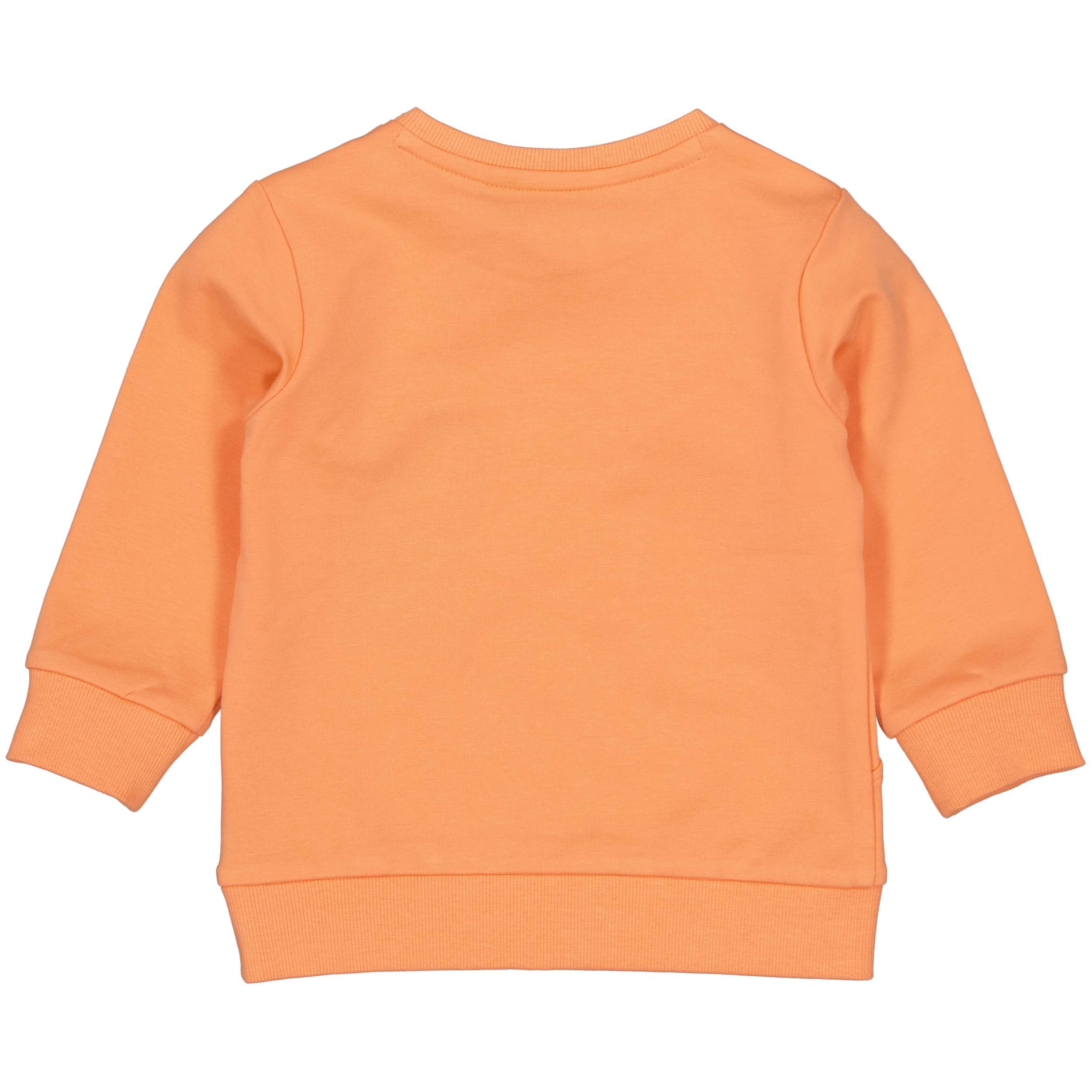 SWEATER | Orange
