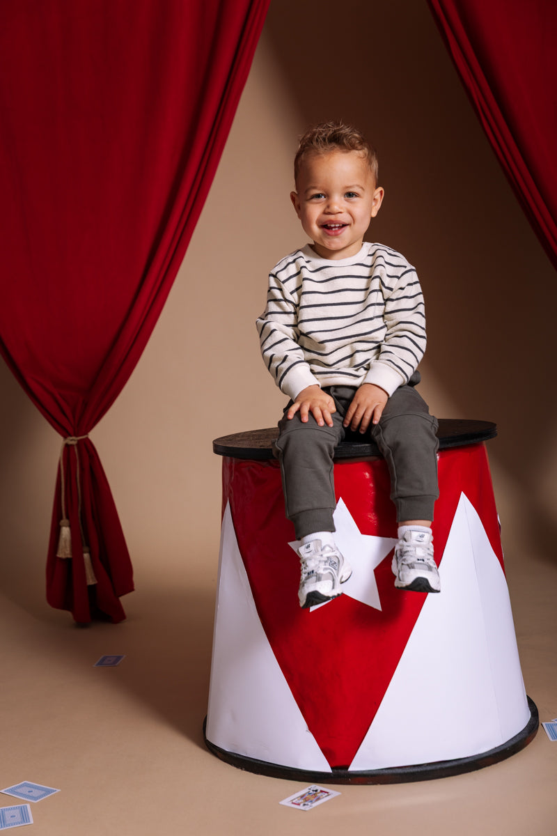 Pullover gestreept | AOP Grey Stripe