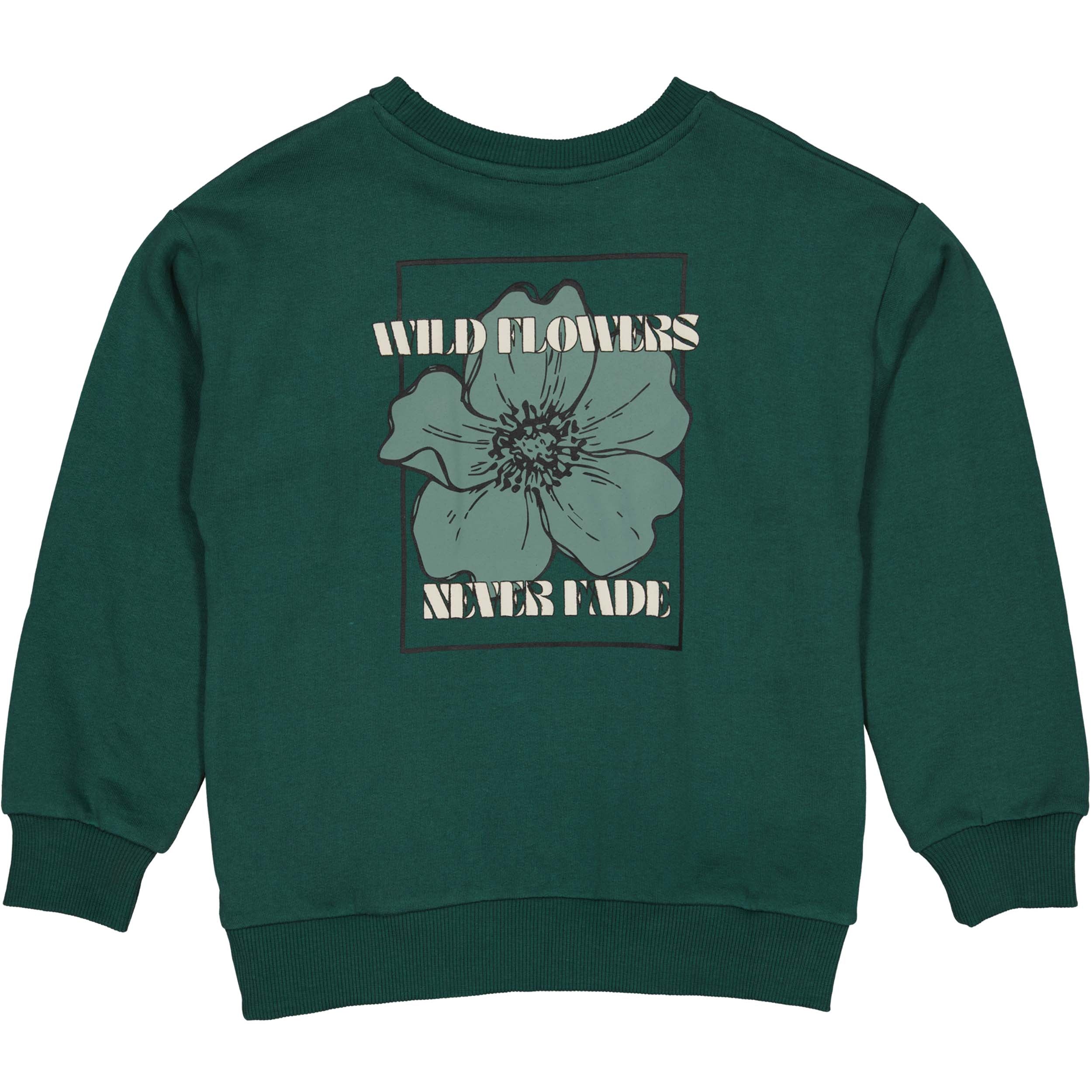 Sweater | Cedar Green