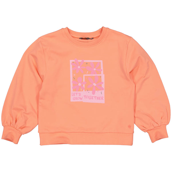 SWEATER | Coral